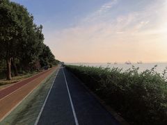 -贡湖湾湿地公园
