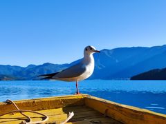 -丽江泸沽湖景区