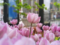 -渣打银行（中国）(北京分行)