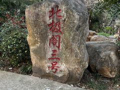-北极阁公园