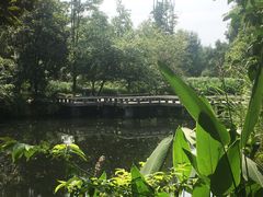 -桂湖森林公园