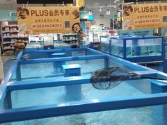 -麦德龙(浦东店)