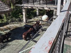 -深圳野生动物园