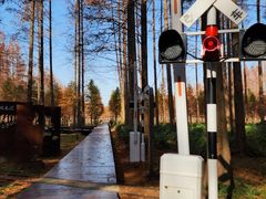 -黄海国家森林公园