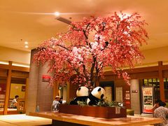 -大江户·温泉洗浴(浑南店)