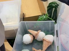 -野人先生现做冰淇淋(深圳壹方城店)