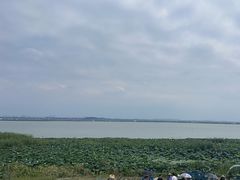 -七的湖·晚芳亭·阳澄湖农家菜·大闸蟹(莲花岛店)