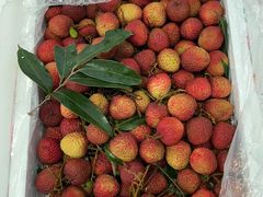 -上海龙吴水胜海发市场