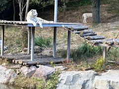 -宁波野生动物园