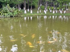 -珠海圆明新园