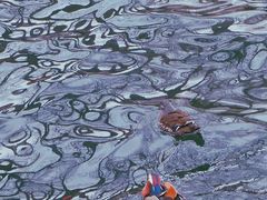 -北海公园