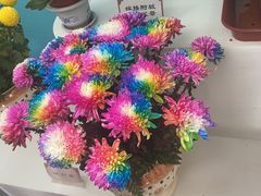 -陶然亭公园