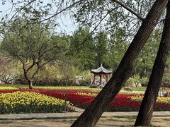 -秦皇岛野生动物园