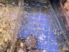 -金悦轩海鲜城(渔人码头店)