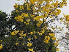 -广州市白云山风景名胜区