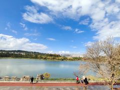 -洛龙公园