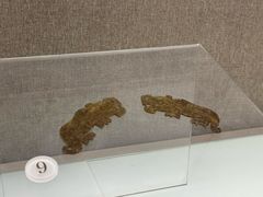 -信阳博物馆