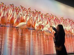 -罗红摄影艺术馆