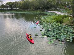 -新江湾城公园