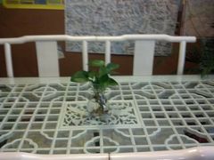 大堂-明堂青年旅舍