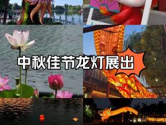 -什刹海