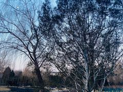 -元大都城垣遗址公园