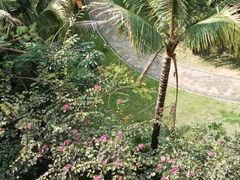 -西双版纳融创皇冠假日度假酒店