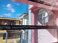 -喵屿·大理花园猫咖