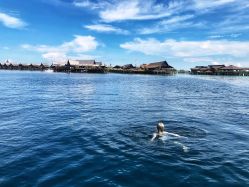 -FC·fashion creativity