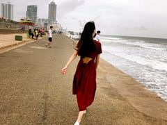 -Ministry of Crab(科伦坡店)