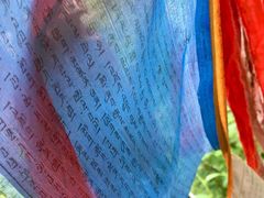 -峡谷浮石林景区