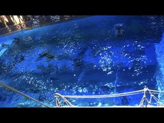 -海合安青岛极地海洋公园