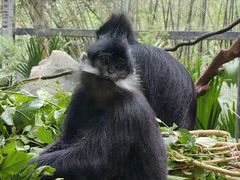 -广州长隆野生动物世界