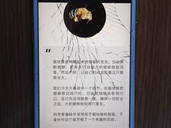 -苹果手机电脑维修回收(胶州路店)