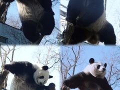 -星座健身(南和城店)