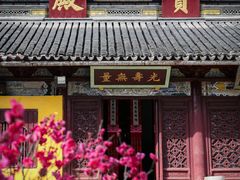 -西园戒幢律寺
