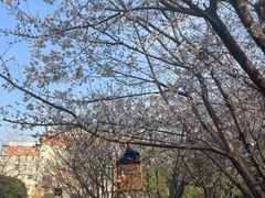 -郑和公园