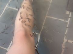 -华山御温泉度假村