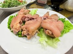 -丁老爷子苏香圆
