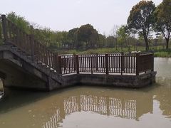 -中国扬子鳄村