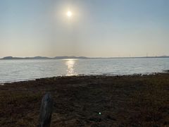 -金银湖国家城市湿地公园
