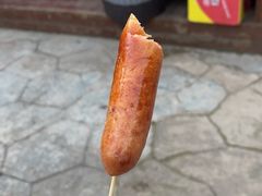-杭州少年儿童公园