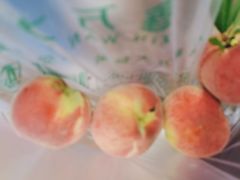 -桃源山庄·烤全羊·柴火鸡·烧烤团建(龙泉山店)