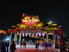 -灵玲国际马戏城