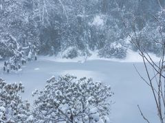 -龙苍沟森林公园
