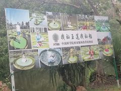 -中国科学院西双版纳热带植物园