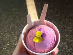 -Dal Cuore 达可芮冰淇淋(陕西北路店)