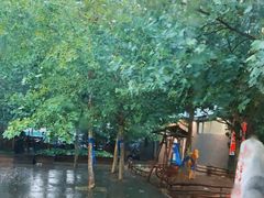 -朝阳公园游乐园