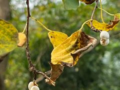 -西湖风景区-江洋畈生态公园