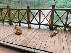 -黔灵山公园